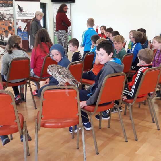 20180823_1154231 Year of O'Flaherty 'Go Wild' Nature Camp