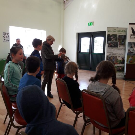 20180823_1201001 Year of O'Flaherty 'Go Wild' Nature Camp