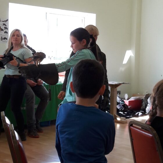 20180823_1206421 Year of O'Flaherty 'Go Wild' Nature Camp