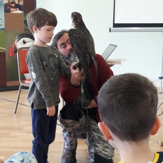 20180823_1219531 Year of O'Flaherty 'Go Wild' Nature Camp