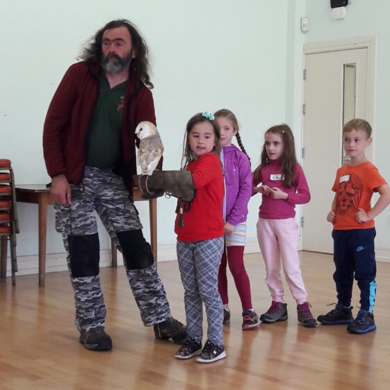 20180823_1223231 Year of O'Flaherty 'Go Wild' Nature Camp