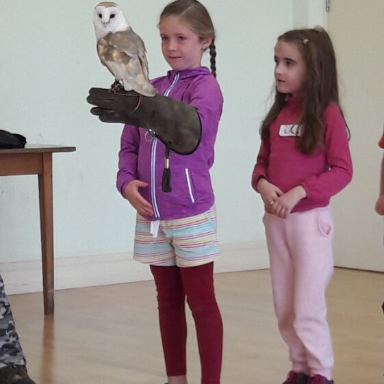 20180823_1224041 Year of O'Flaherty 'Go Wild' Nature Camp