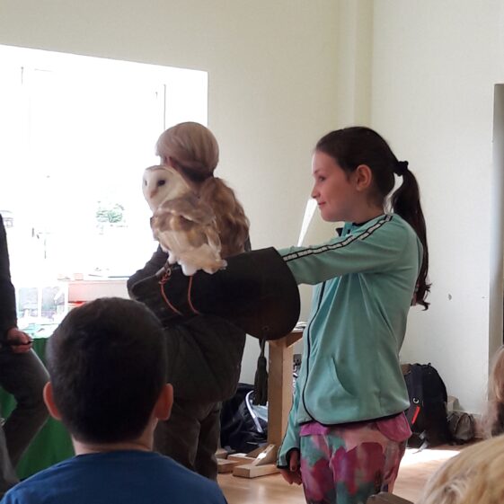 20180823_1228151 Year of O'Flaherty 'Go Wild' Nature Camp
