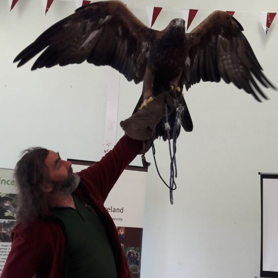 20180823_1235531 Year of O'Flaherty 'Go Wild' Nature Camp