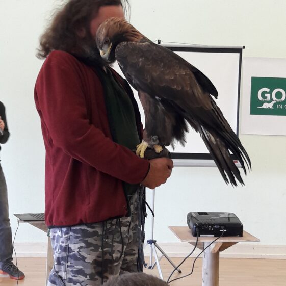 20180823_1238591 Year of O'Flaherty 'Go Wild' Nature Camp