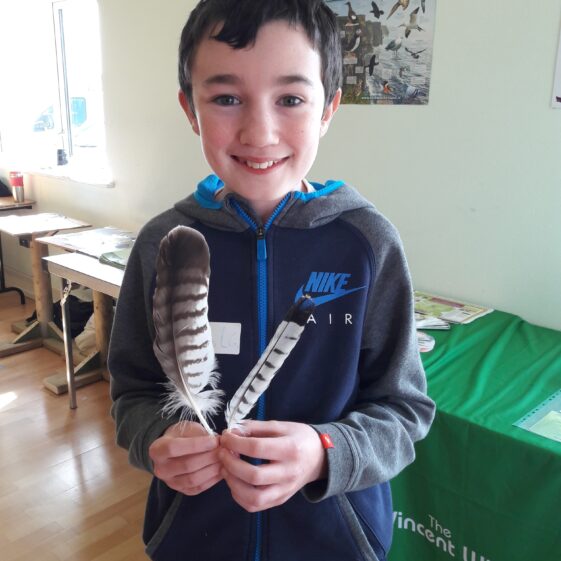 20180823_1248591 Year of O'Flaherty 'Go Wild' Nature Camp