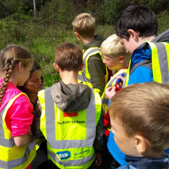 20180823_1337481 Year of O'Flaherty 'Go Wild' Nature Camp