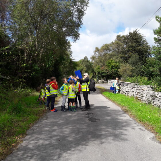 20180823_133941 Go Wild Nature Camp 2018
