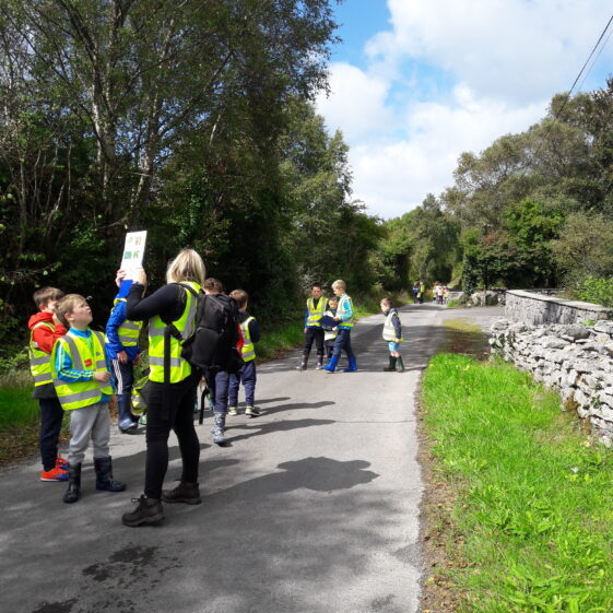 20180823_133953 Go Wild Nature Camp 2018