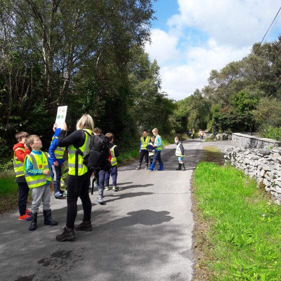 20180823_1339531 Year of O'Flaherty 'Go Wild' Nature Camp