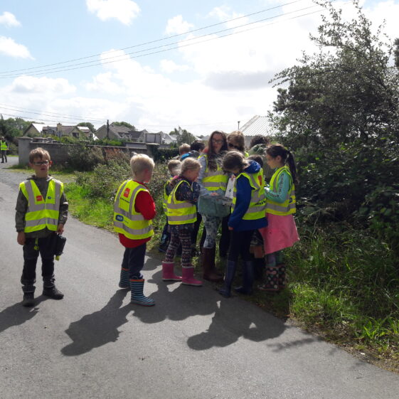 20180823_134002 Go Wild Nature Camp 2018