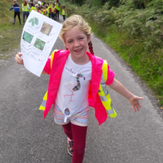 20180823_1423131 Year of O'Flaherty 'Go Wild' Nature Camp