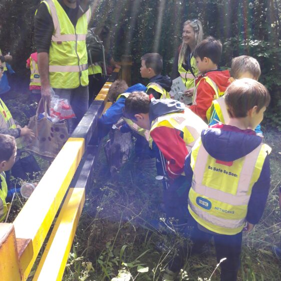 20180823_1438071 Year of O'Flaherty 'Go Wild' Nature Camp