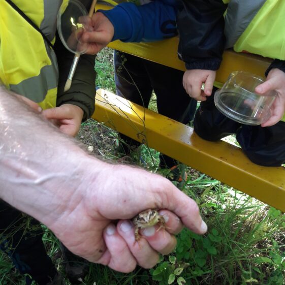 20180823_1438521 Year of O'Flaherty 'Go Wild' Nature Camp