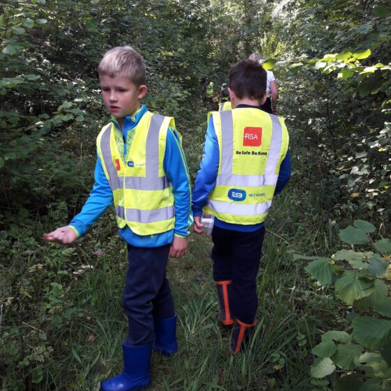 20180823_1440101 Year of O'Flaherty 'Go Wild' Nature Camp