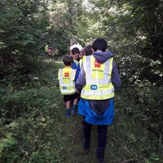 20180823_1440231 Year of O'Flaherty 'Go Wild' Nature Camp