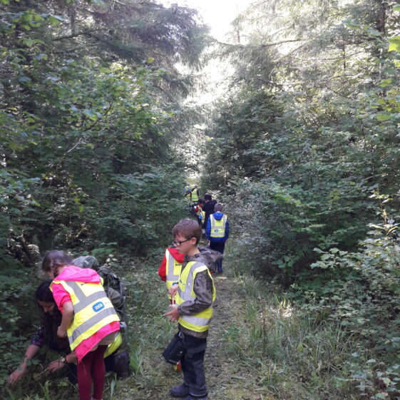 20180823_144133 Go Wild Nature Camp 2018