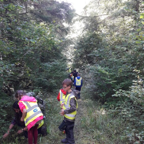 20180823_1441331 Year of O'Flaherty 'Go Wild' Nature Camp