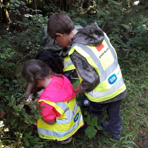 20180823_1442401 Year of O'Flaherty 'Go Wild' Nature Camp