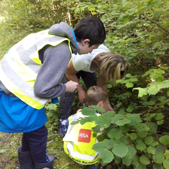 20180823_1442501 Year of O'Flaherty 'Go Wild' Nature Camp