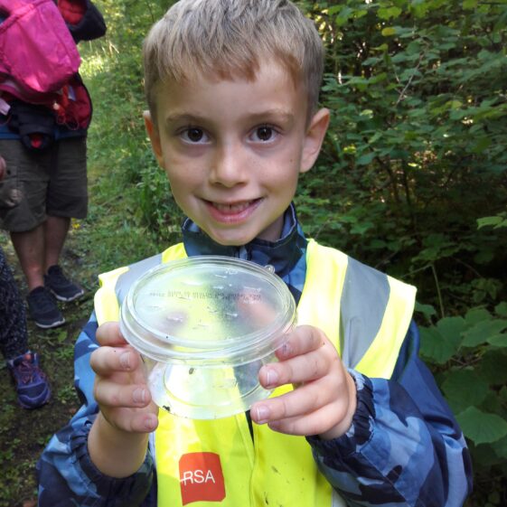 20180823_1443561 Year of O'Flaherty 'Go Wild' Nature Camp