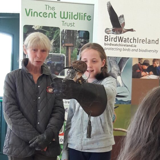 20180823_1614361 Year of O'Flaherty 'Go Wild' Nature Camp