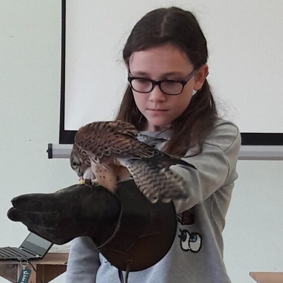 20180823_1616341 Year of O'Flaherty 'Go Wild' Nature Camp