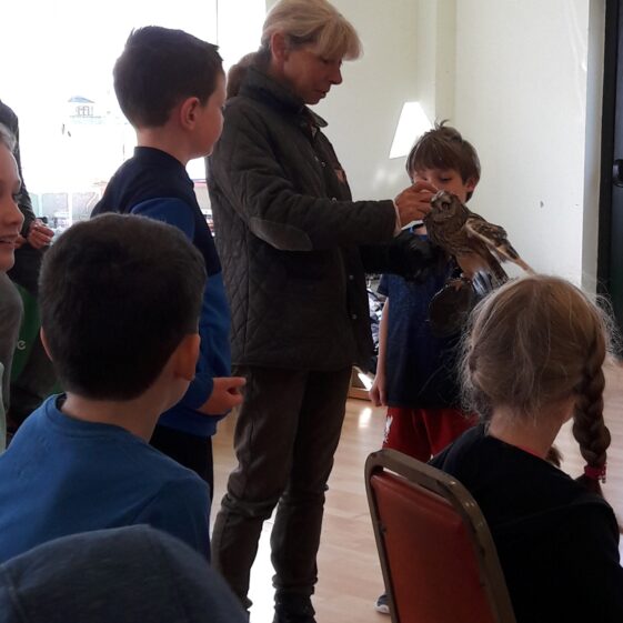 20180823_162340 Go Wild Nature Camp 2018