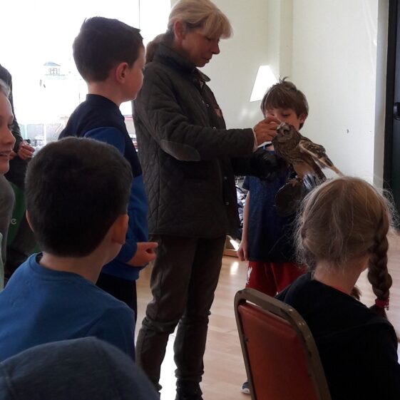 20180823_1623401 Year of O'Flaherty 'Go Wild' Nature Camp