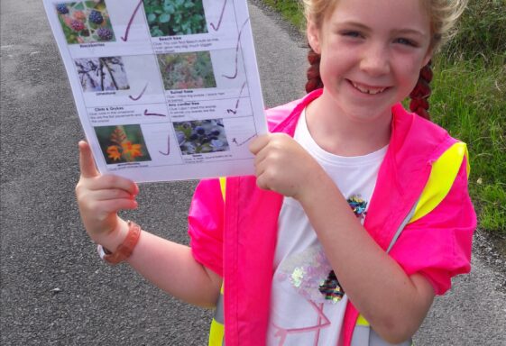 Go Wild Nature Camp 2018