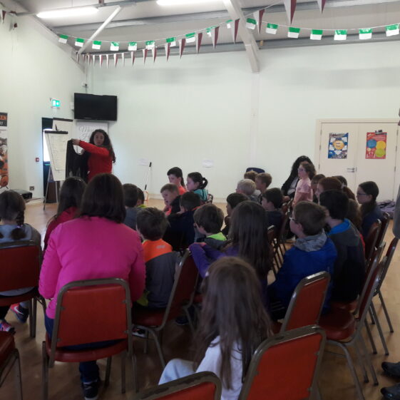 20180824_102704 Year of O'Flaherty 'Go Wild' Nature Camp