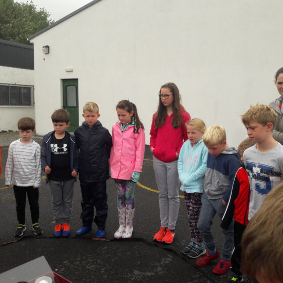 20180824_103040 Year of O'Flaherty 'Go Wild' Nature Camp