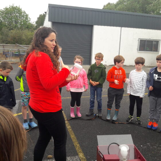 20180824_103049 Year of O'Flaherty 'Go Wild' Nature Camp