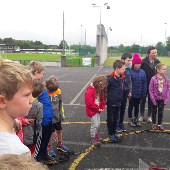 20180824_103105 Year of O'Flaherty 'Go Wild' Nature Camp