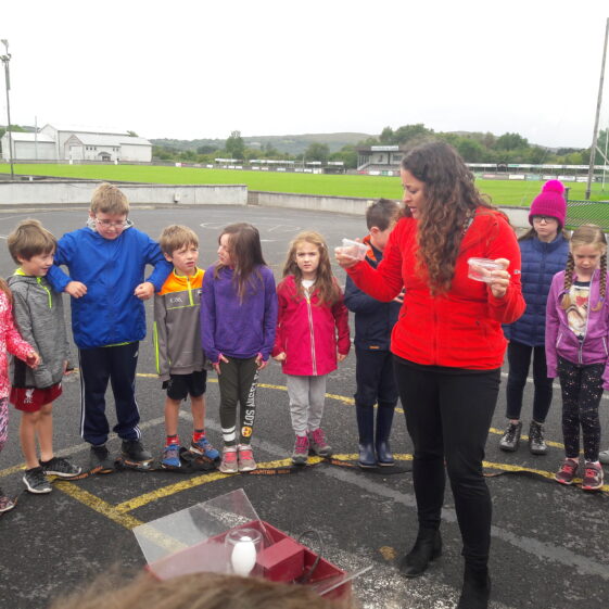 20180824_103128 Year of O'Flaherty 'Go Wild' Nature Camp