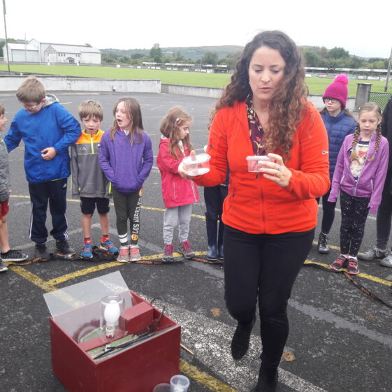 20180824_103132 Year of O'Flaherty 'Go Wild' Nature Camp