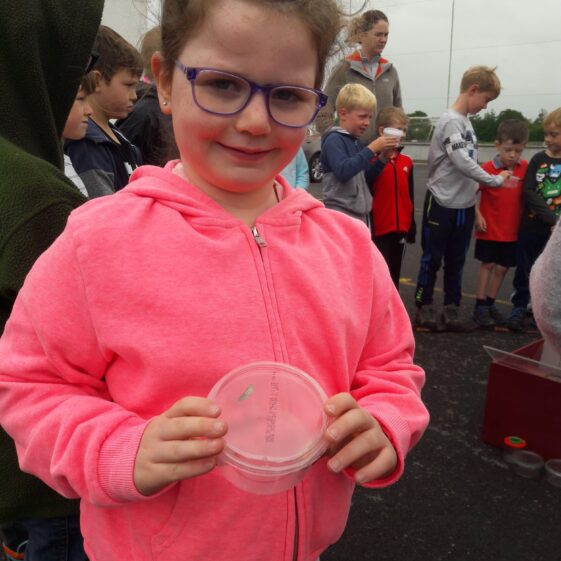 20180824_103154 Year of O'Flaherty 'Go Wild' Nature Camp