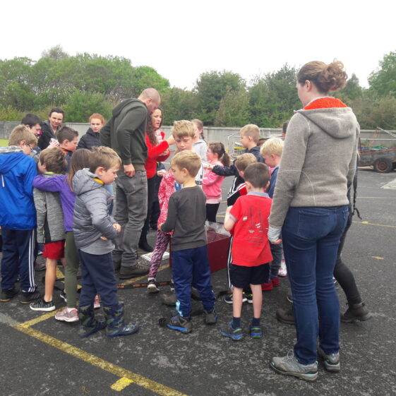 20180824_103812 Year of O'Flaherty 'Go Wild' Nature Camp