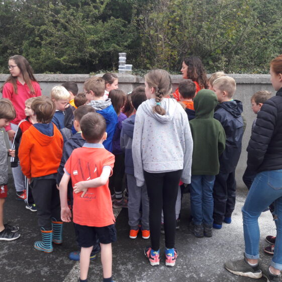 20180824_103925 Year of O'Flaherty 'Go Wild' Nature Camp