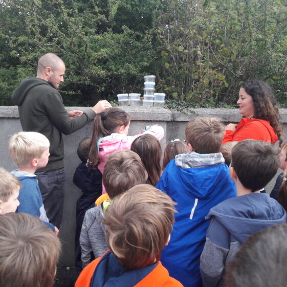 20180824_103940 Year of O'Flaherty 'Go Wild' Nature Camp