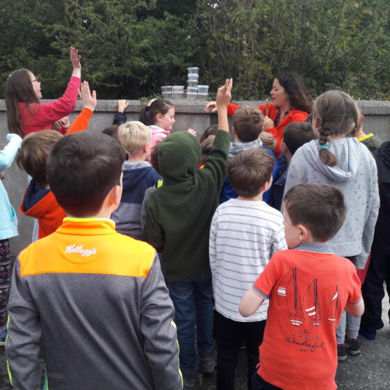 20180824_104004 Year of O'Flaherty 'Go Wild' Nature Camp