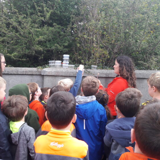 20180824_104046 Year of O'Flaherty 'Go Wild' Nature Camp