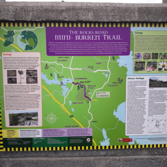 Moycullen's Mini Burren walking trail at the Rocks Road | Moycullen Historical Society