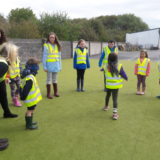 20180824_120342 Year of O'Flaherty 'Go Wild' Nature Camp