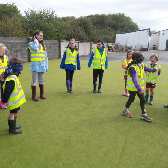 20180824_120346 Year of O'Flaherty 'Go Wild' Nature Camp