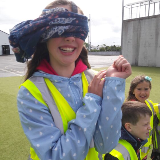 20180824_120544 Year of O'Flaherty 'Go Wild' Nature Camp