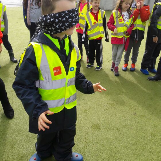 20180824_120553 Year of O'Flaherty 'Go Wild' Nature Camp