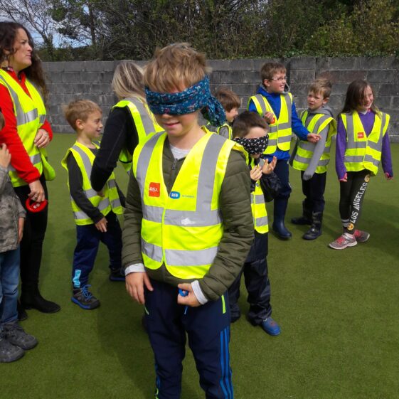 20180824_120613 Year of O'Flaherty 'Go Wild' Nature Camp
