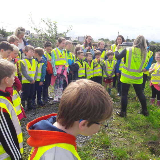 20180824_121637 Year of O'Flaherty 'Go Wild' Nature Camp