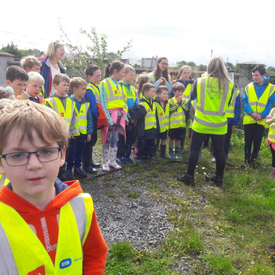 20180824_121641 Year of O'Flaherty 'Go Wild' Nature Camp